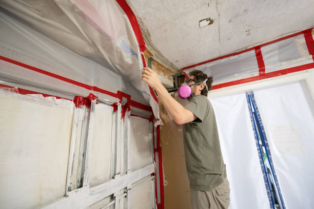 Best Industrial Mold Remediation  in Mbria, CA