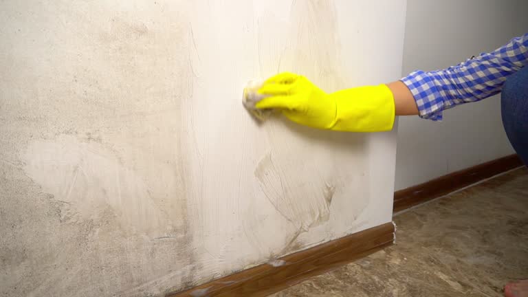 Biohazard Mold Removal in Cambria, CA