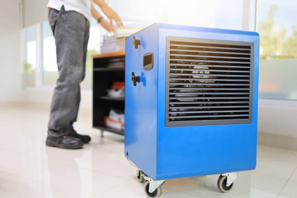 Best Mold-Related Health Consultation  in Mbria, CA