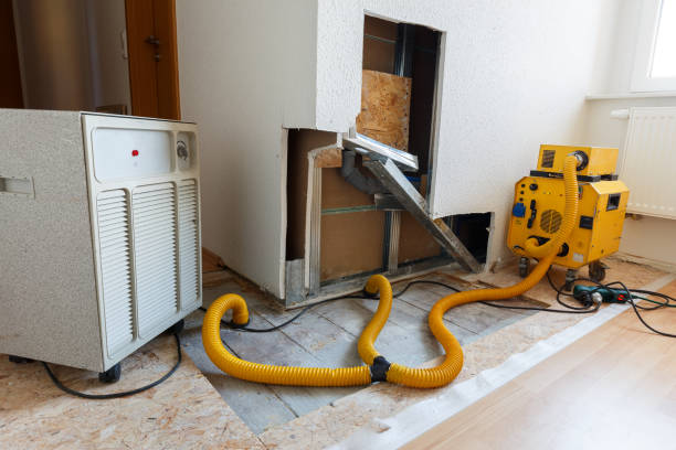Best Mold Damage Restoration  in Mbria, CA